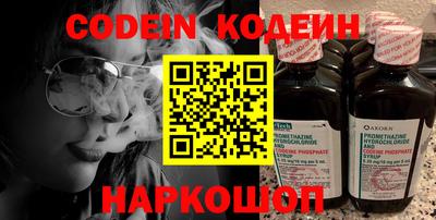МДПВ Кингисепп