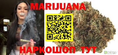МДПВ Кингисепп
