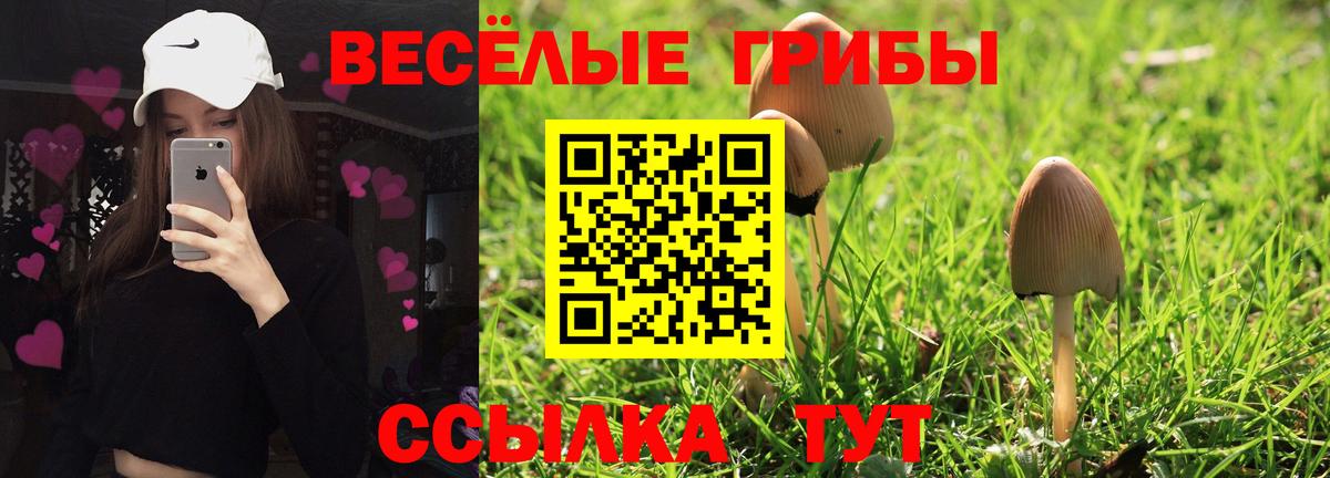 Шелехов  Псилоцибиновые грибы Magic Shrooms  сколько стоит  Вход с VPN 
